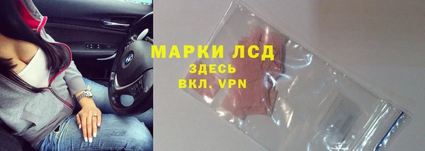 ГАЛЛЮЦИНОГЕННЫЕ ГРИБЫ Магас