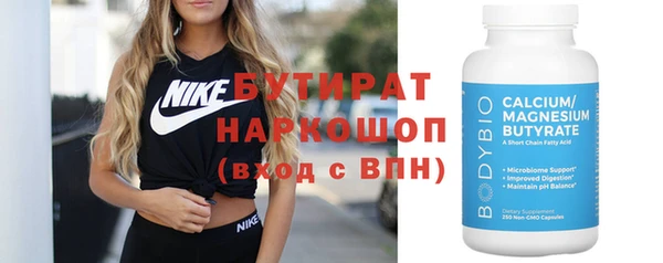 индика Медвежьегорск
