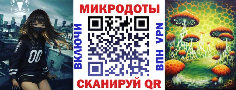 Купить  Керчь  Псилоцибиновые грибы Psilocybe 